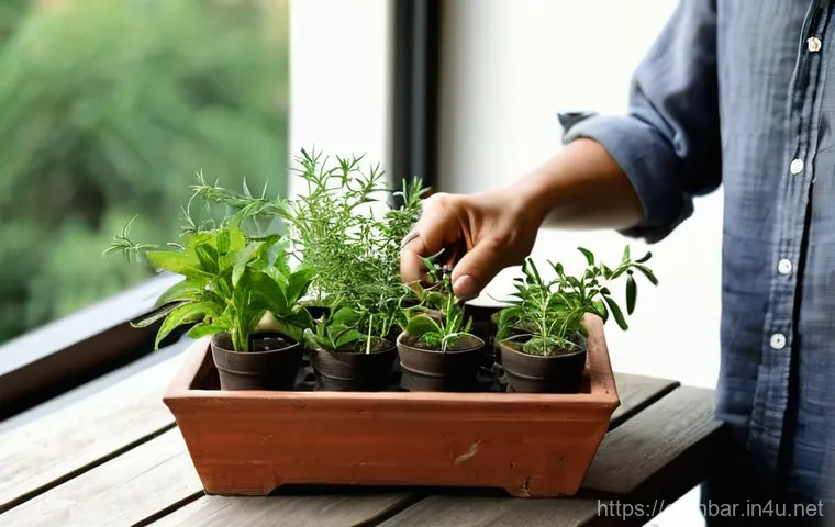 홈바텐더 허브 칵테일 - **"A beautifully composed image of a refreshing Basil and Cucumber Margarita, presented in a salt-ri...